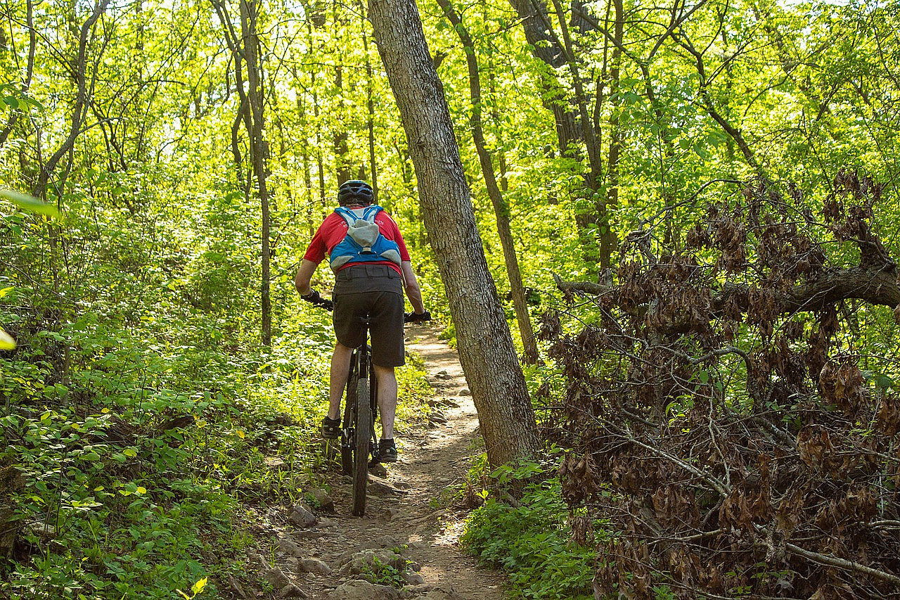 Netwerken op wielen in de Noord-Limburgse bossen