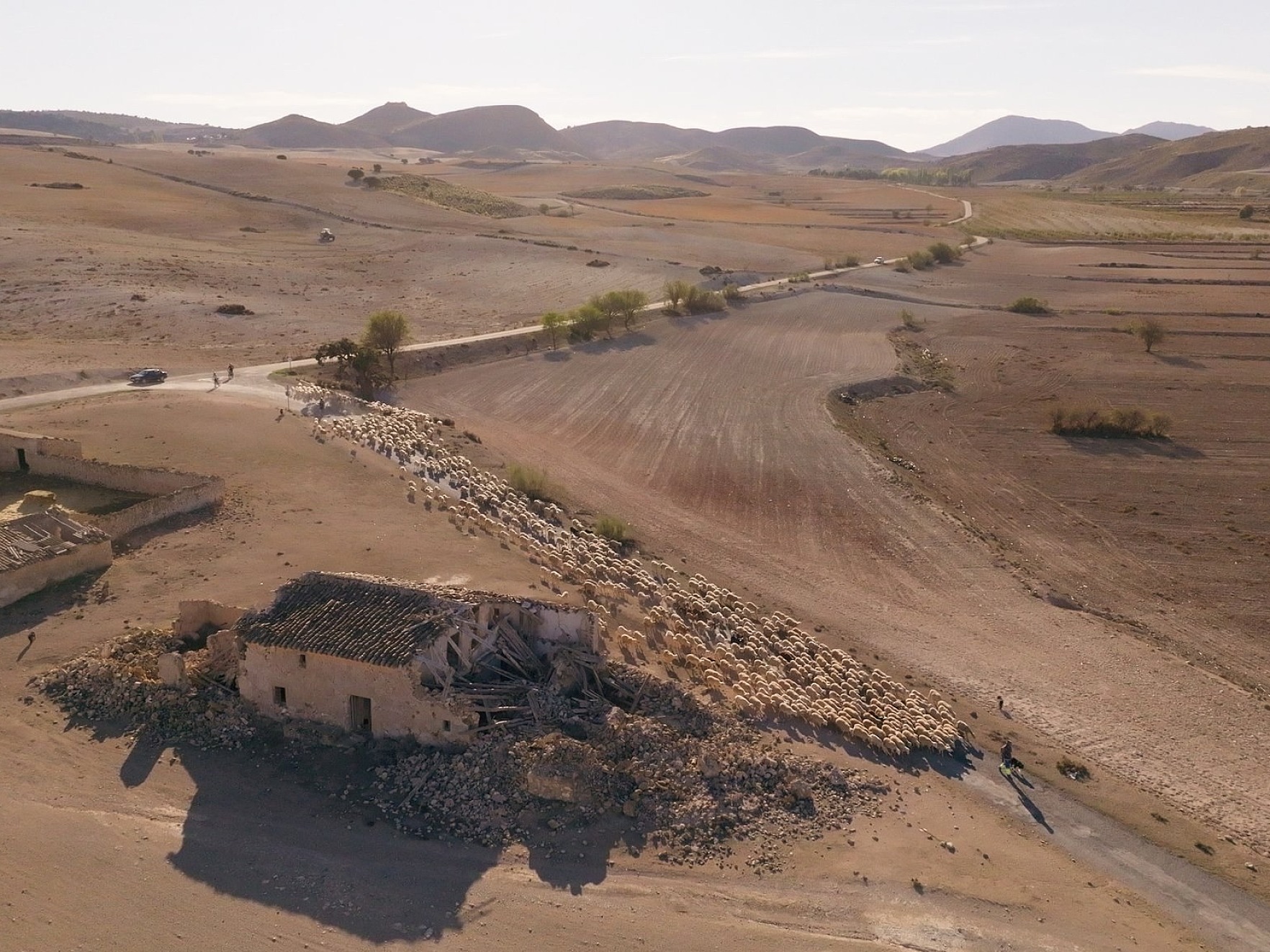 Eat trees 44