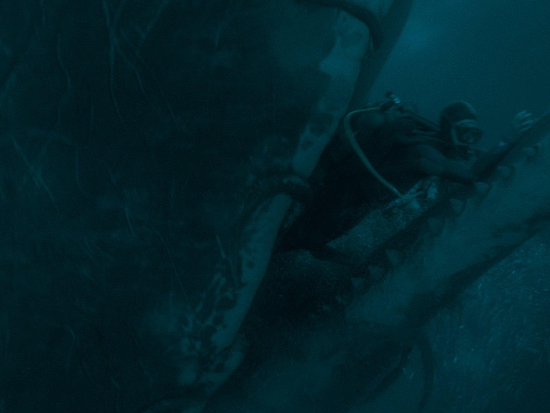 Whalefall 2