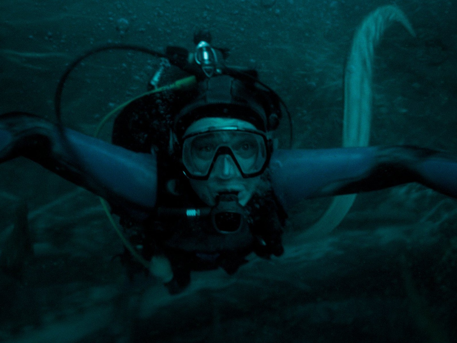 Whalefall 5