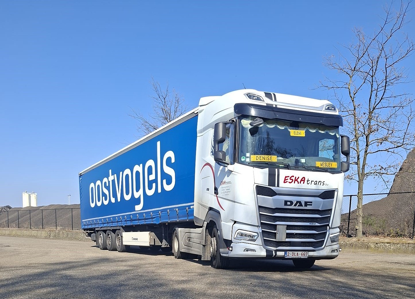 Oostvogels 01