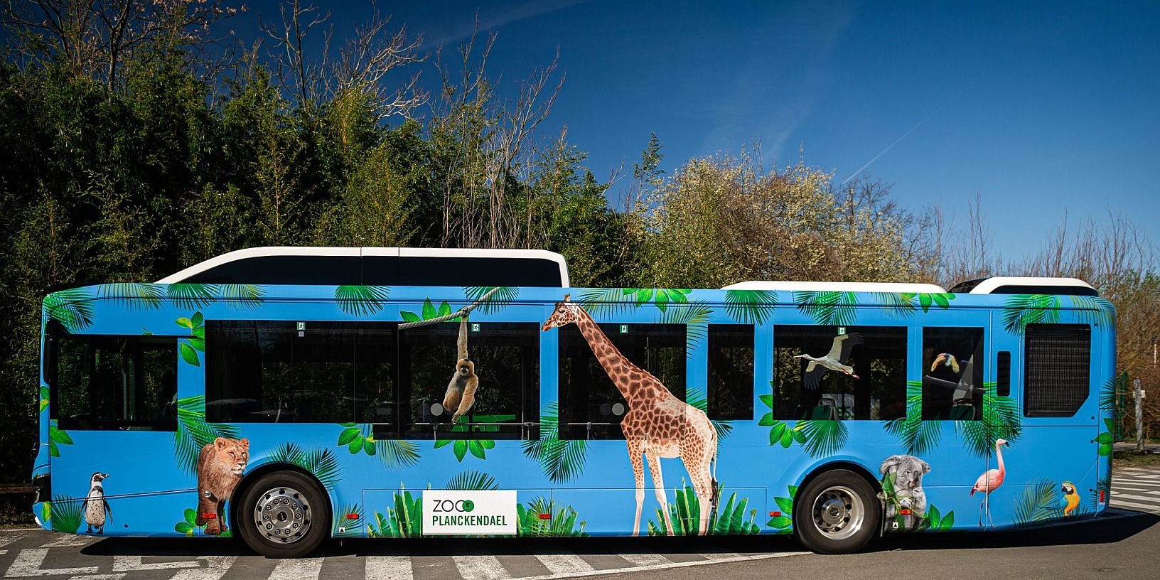 ZOO Planckendael Express website