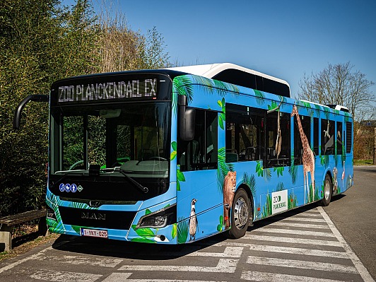 New contracts for Zoo Planckendael