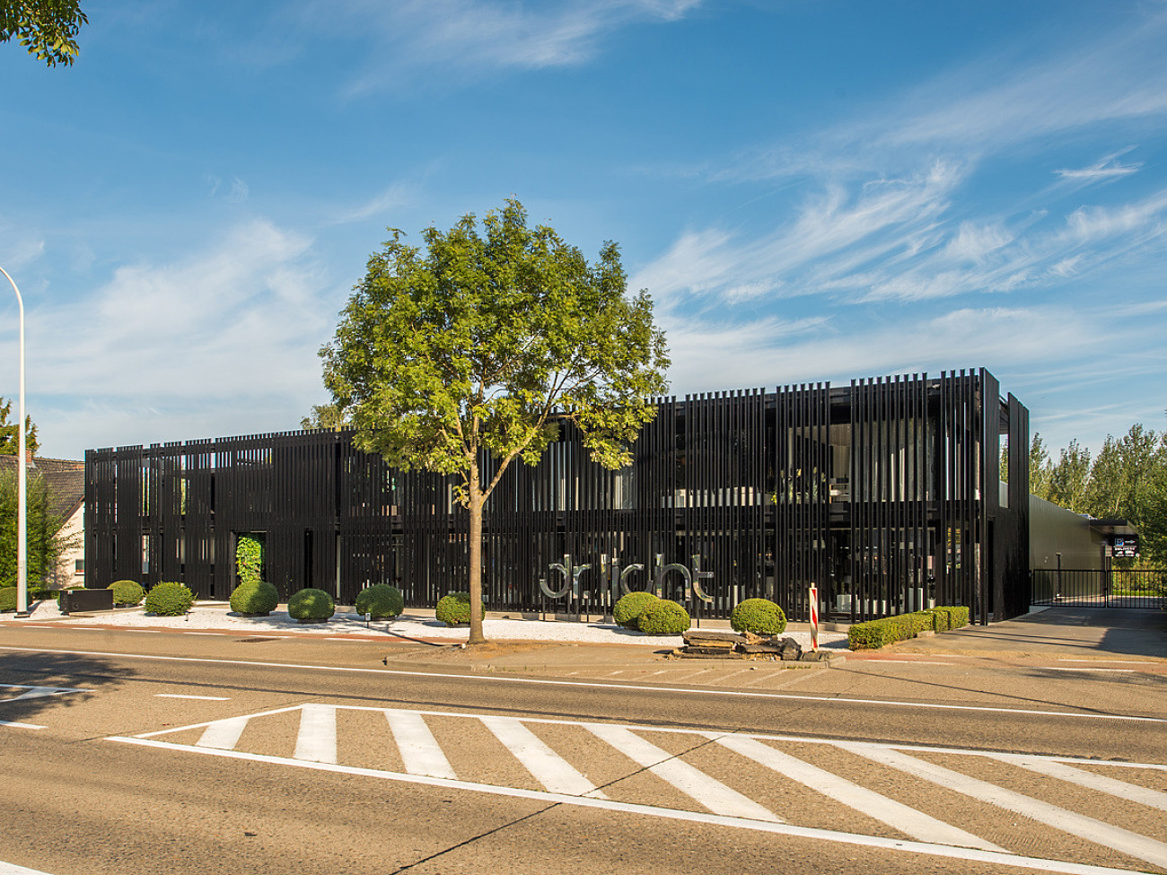 Dr Light Zoutleeuw specials 1