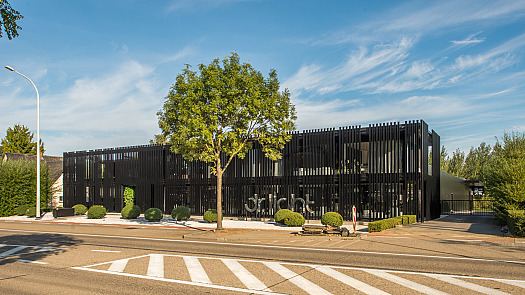 Dr Light Zoutleeuw specials 1