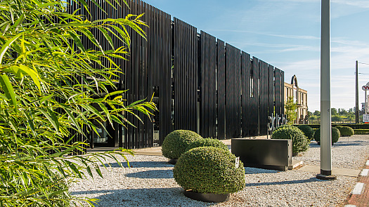 Dr Light Zoutleeuw specials 3